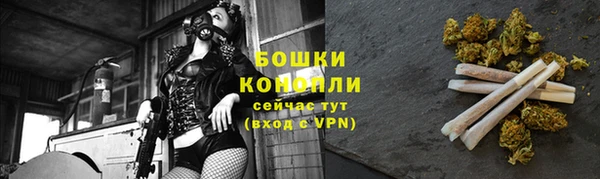 сатива Михайловка