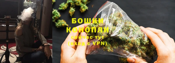 прущие грибы Михайлов