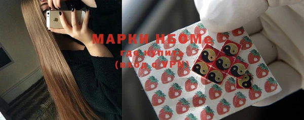 прущие грибы Михайлов