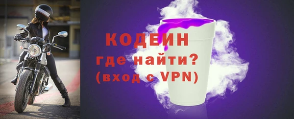 прущие грибы Михайлов