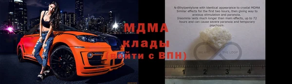прущие грибы Михайлов