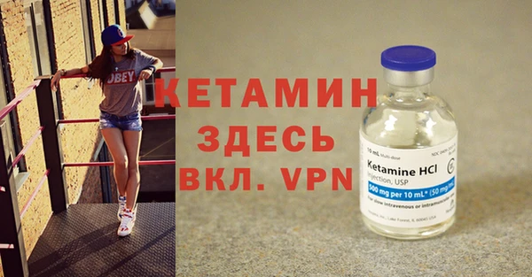прущие грибы Михайлов