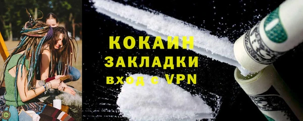 прущие грибы Михайлов