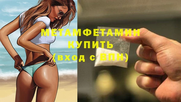 прущие грибы Михайлов