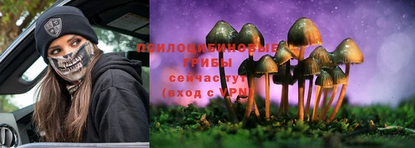 прущие крисы Михайловск