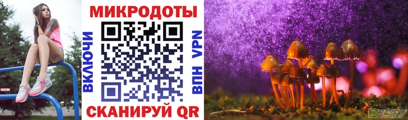 Галлюциногенные грибы Psilocybine cubensis  ссылка на мегу зеркало  Тогучин  где купить наркотик 